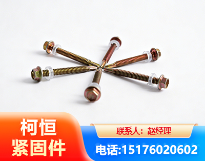 绍兴六角钻尾丝