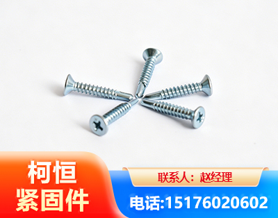 绍兴平头钻尾丝